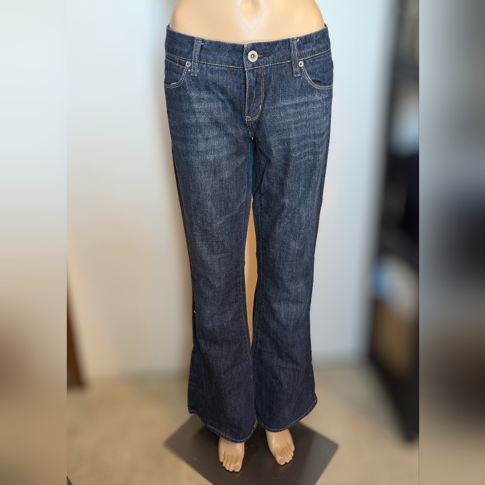 2000s Vintage Low Rise American Eagle Flare Jeans